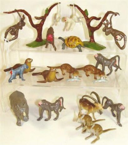 GM
arbres à singes, loutres et otaries (+...