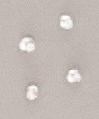 Deux paires de boutons d'oreilles en or gris...