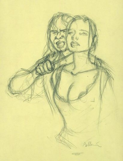 PELLERIN
L'ÉPERVIER Dessin au crayon pour...