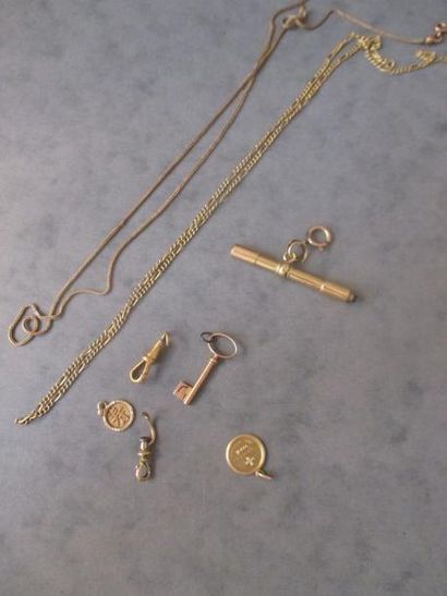 *Lot en or jaune 18k : deux chaines de cou...