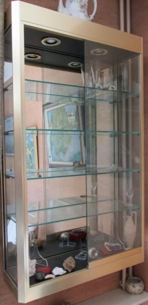 Paire de vitrines d'appliques en métal
