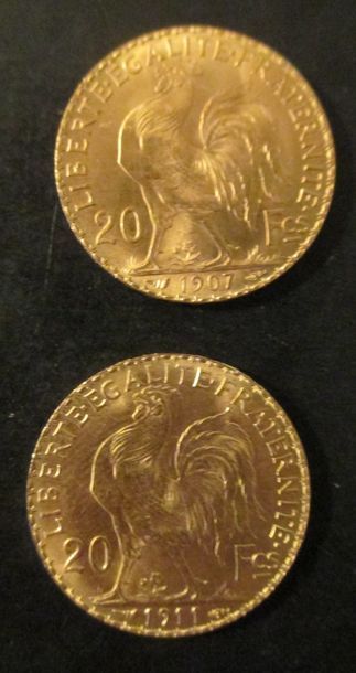 Deux pièces de 20 FF en or jaune