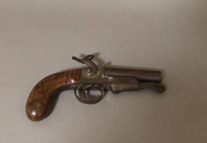 Pistolet de chasse pouvant se transformer...