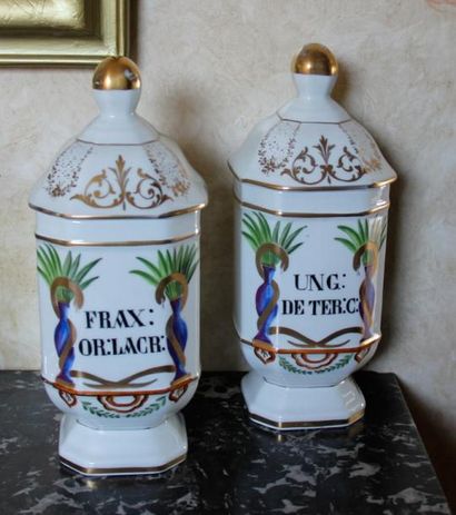 Paire de pots à pharmacie en porcelaine de...