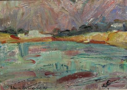 Claire BERTRAND

Paysage

Huile sur toile

signée...
