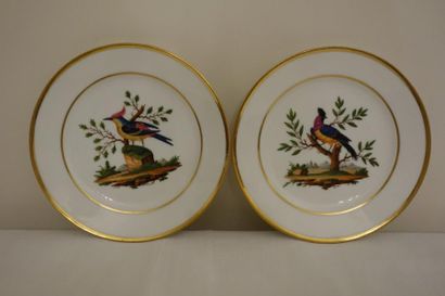 PARIS

Deux assiettes en porcelaine à décor...