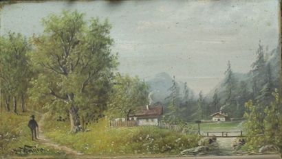 Jules VERNIER (1862-1937)

Paysage alpestre...