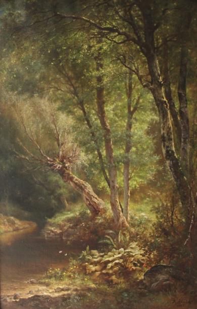 Paulin ALMES (XIXème s.)

Sous bois

Huile...