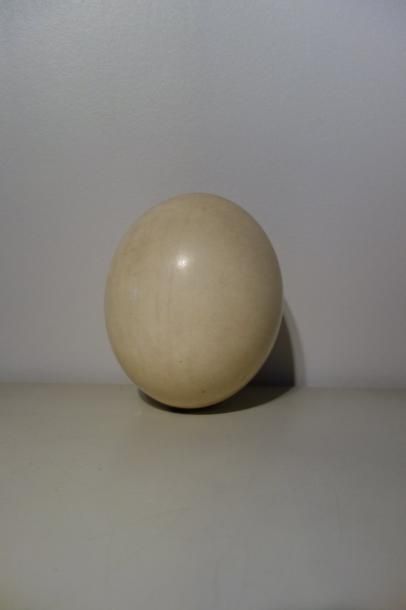 Œuf d'autruche