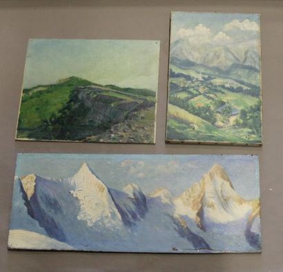 Ecole moderne Paysage de montagne 10 huiles...