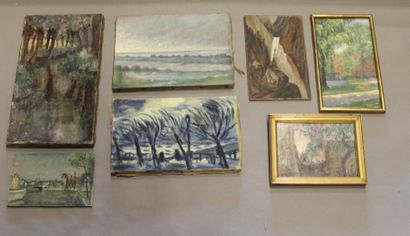 Ecole moderne Paysages 14 huiles sur toile...