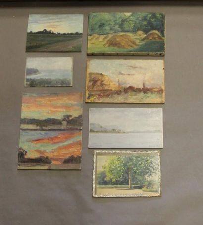 Ecole moderne Paysages 14 huiles sur toile...