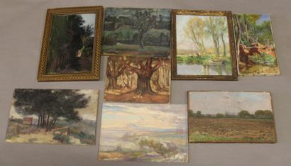 Ecole moderne Paysage Seize huiles sur toile...