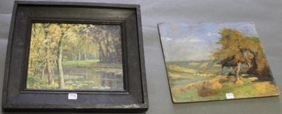 Ecole moderne Paysage Huit huiles sur toile...