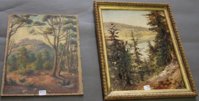 Ecole moderne Paysage Huit huiles sur toile...