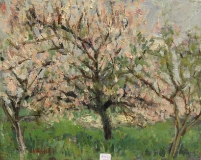Ecole moderne Paysage Douze huiles sur toile...