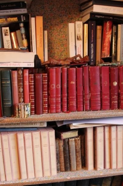 Lot de livres