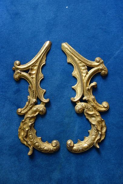 Deux éléments en bois sculpté doré à décor...