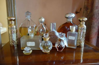 Lot de bouteilles de parfum