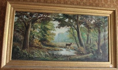 École moderne « Mare dans un sous-bois avec...