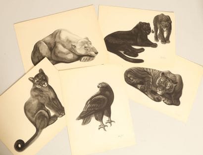 Georges Lucien GUYOT (1885-1973), d'après.
Portfolio...