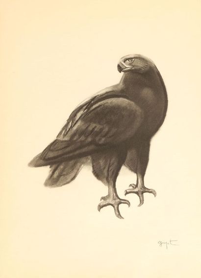 Georges Lucien GUYOT (1885-1973), d'après.
Portfolio...