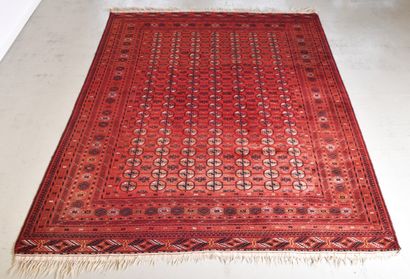Tapis Boukhara Tekké (chaine, trame et velours...