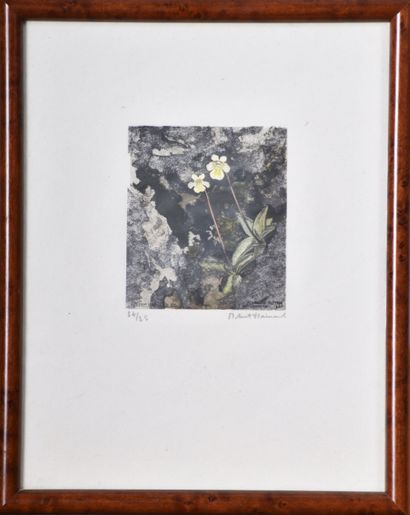 Robert HAINARD (1906 -1999), Grassettes des...