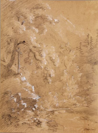 École du XIXe s, Étude d'arbres, dessin au...