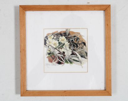 Robert HAINARD (1906-1999), Fleurs sauvages,...
