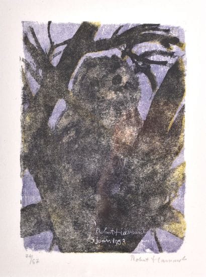 Robert HAINARD (1906 - 1999), Chouette Hulotte,...