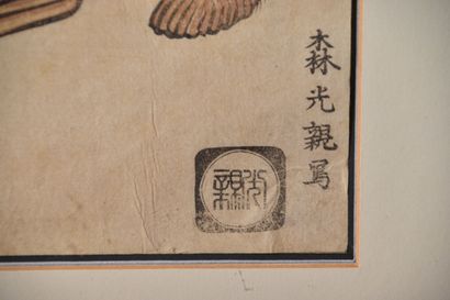 Mori Mitsuchika ( Japon, act. vers 1850)...