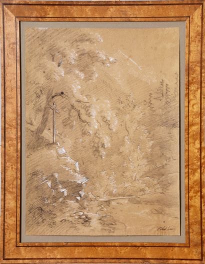 École du XIXe s, Étude d'arbres, dessin au...