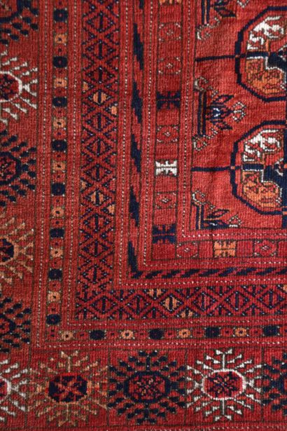 Tapis Boukhara Tekké (chaine, trame et velours...