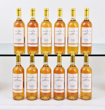 POUSSES de RAYOND LAFON 2013, 12 bouteil...