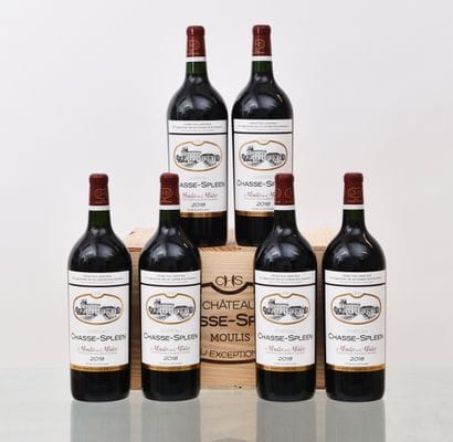 Château CHASSE-SPLEEN 2018, Moulis-en-Médoc,...