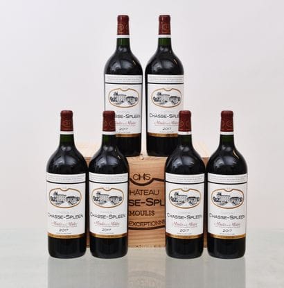 Château CHASSE-SPLEEN 2017, Moulis-en-Médoc,...