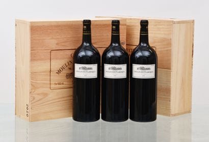 Château MOULIN HAUT-LAROQUE 2020, Fronsac...