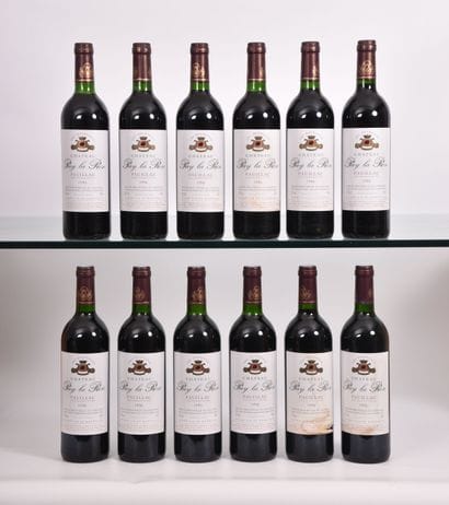 Château PUY LA ROSE 2003, Pauillac, 12 bouteilles,...