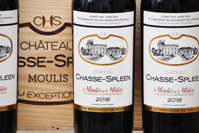 Château CHASSE-SPLEEN 2018, Moulis-en-Médoc,...