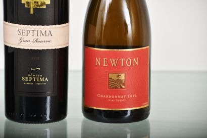 lots de vins étrangers dont chili argentine...