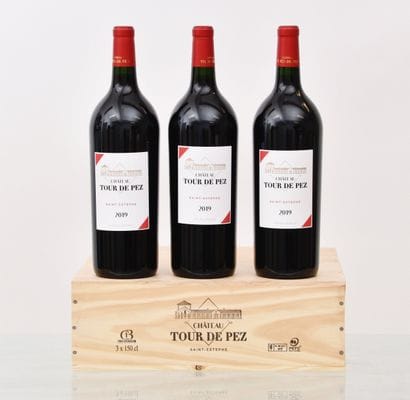 Château TOUR DE PEZ 2019, Saint-Estèphe CB,...