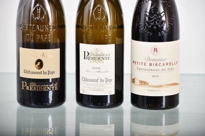 CHÂTEAUNEUF-DU-PAPE 2013, 30 bottles, Domaine...