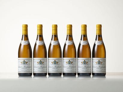 BÂTARD-MONTRACHET (Grand Cru) 2013 Domaine...