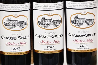 Château CHASSE-SPLEEN 2017, Moulis-en-Médoc,...