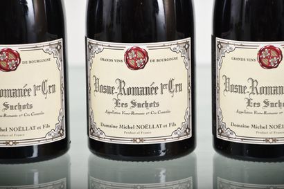 VOSNE-ROMANÉE 1er Cru Les Suchots 2010, M....