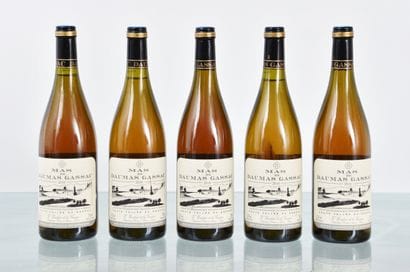 MAS DE DAUMAS GASSAC 2010, blanc, 5 bouteilles,...