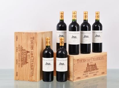 TOURS DE CHARMAIL 2010, Second vin du Château...