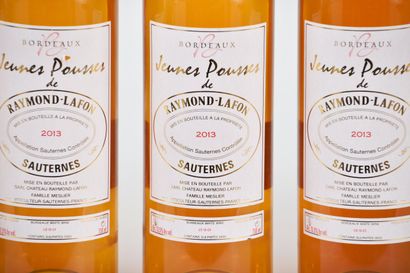 POUSSES de RAYOND LAFON 2013, 12 bouteil...