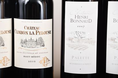 Château CAMBON LA PELOUSE 2010, 6 bottles,...